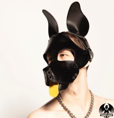 puppydavey - puppydavey - OnlyFans Gratis